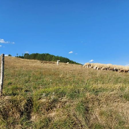 Bnb Bagno Di Bosco Губбио Экстерьер фото